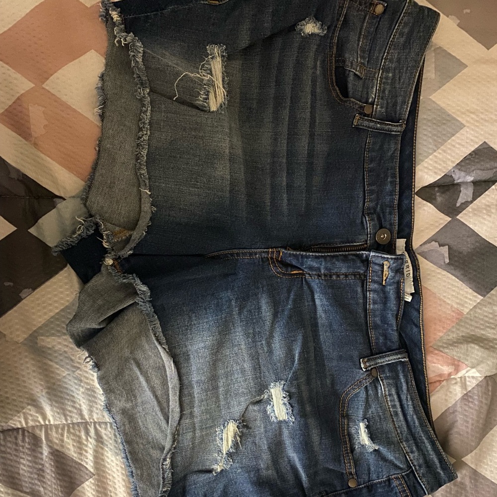 Torrid shorts